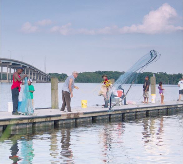 Group of People Using Nets off of a Dock