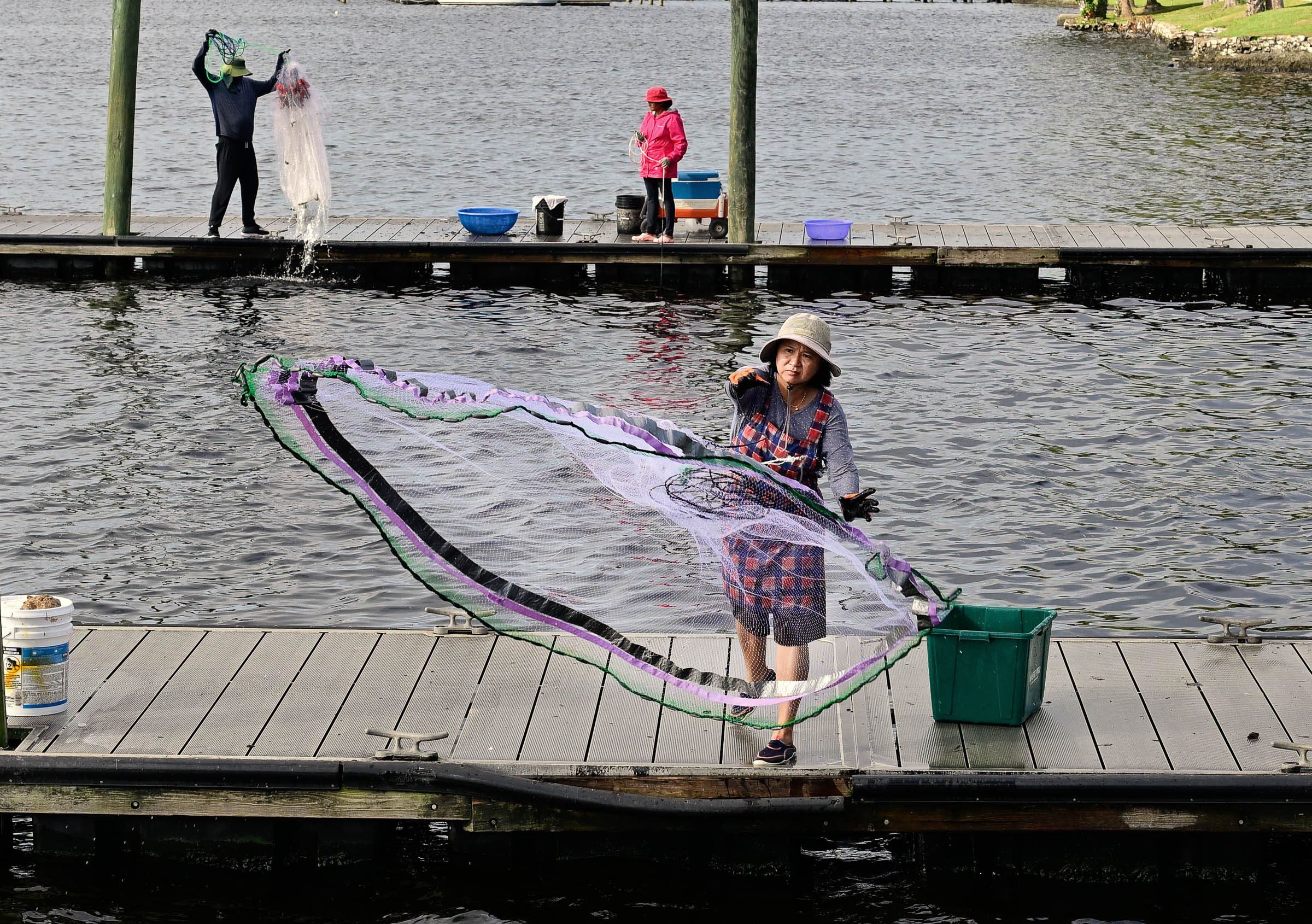 Shrimping from the dock