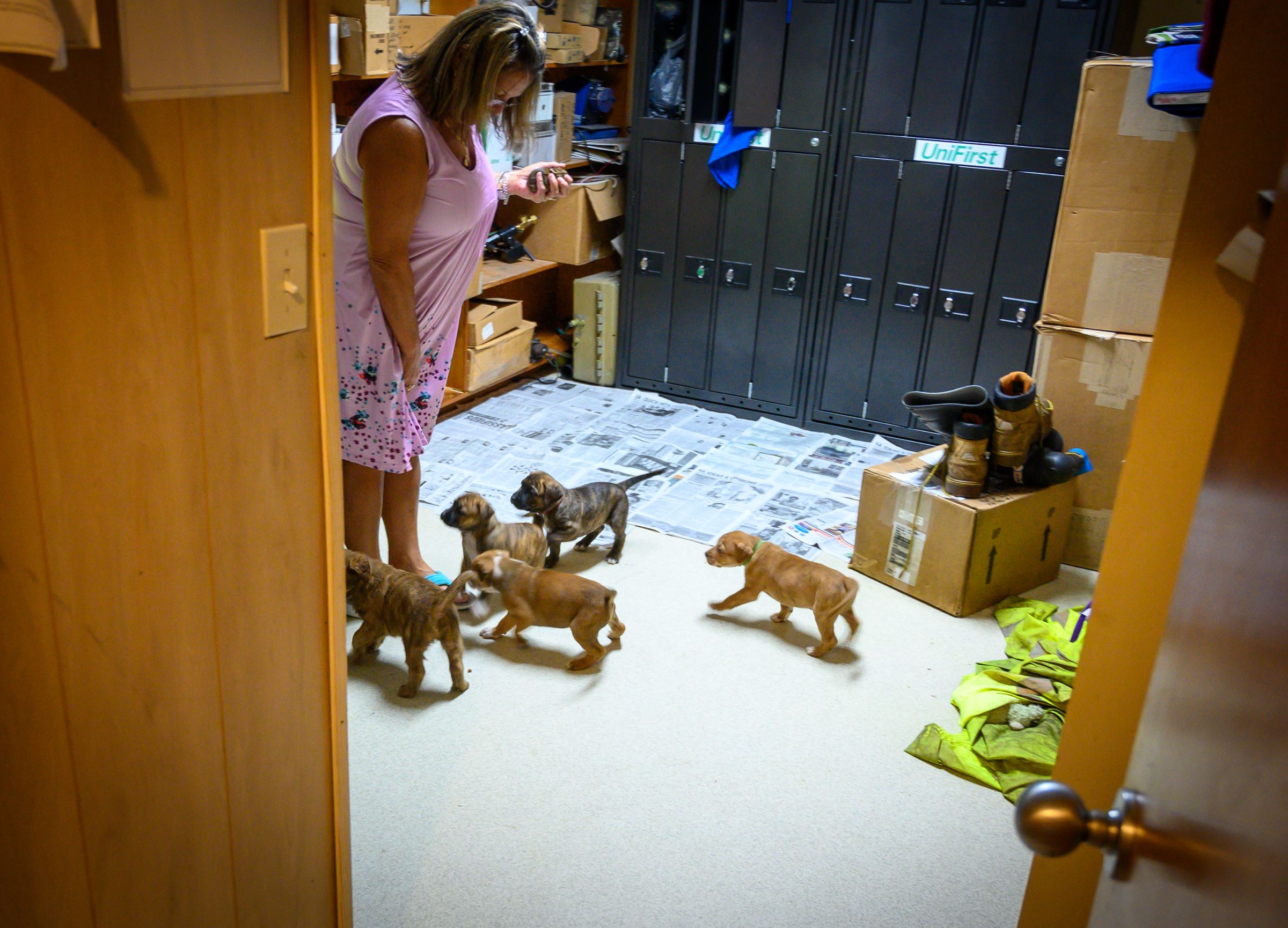 Pal_06282023_shadow-3