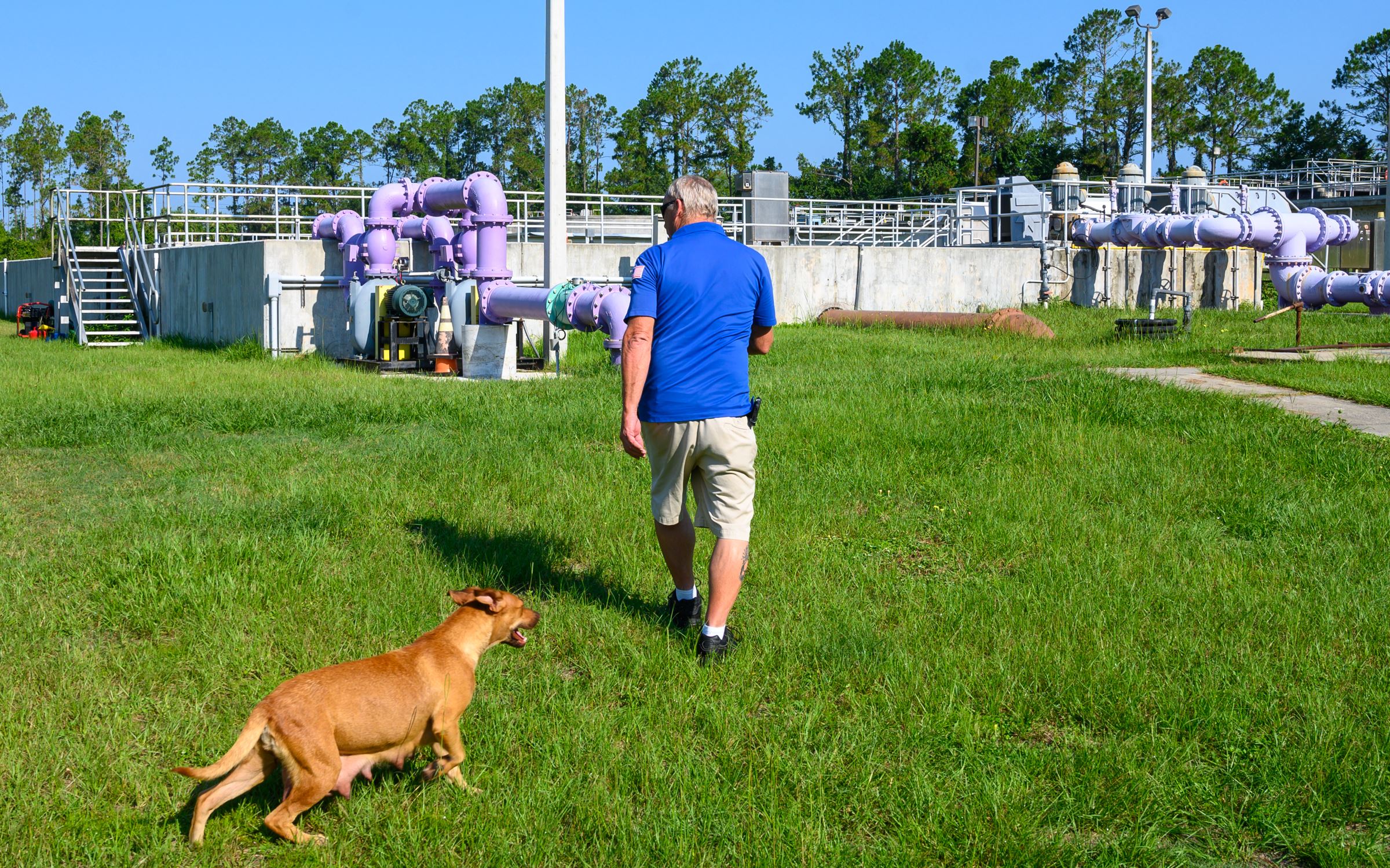 Pal_06282023_shadow-6